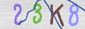 CAPTCHA 驗證圖片