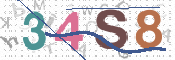 CAPTCHA 驗證圖片