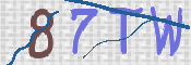 CAPTCHA 驗證圖片