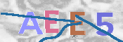 CAPTCHA 驗證圖片