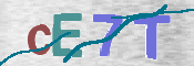 CAPTCHA 驗證圖片