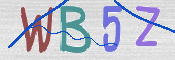 CAPTCHA 驗證圖片