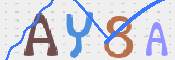 CAPTCHA 驗證圖片