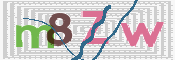 CAPTCHA 驗證圖片