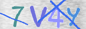CAPTCHA 驗證圖片