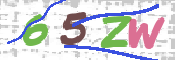 CAPTCHA 驗證圖片