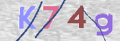 CAPTCHA 驗證圖片