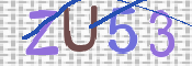 CAPTCHA 驗證圖片