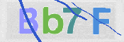 CAPTCHA 驗證圖片