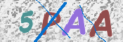 CAPTCHA 驗證圖片