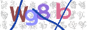 CAPTCHA 驗證圖片