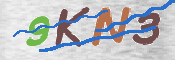 CAPTCHA 驗證圖片