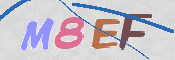 CAPTCHA 驗證圖片