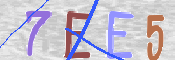 CAPTCHA 驗證圖片