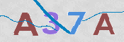 CAPTCHA 驗證圖片