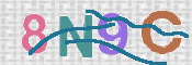 CAPTCHA 驗證圖片