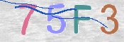 CAPTCHA 驗證圖片