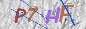 CAPTCHA 驗證圖片