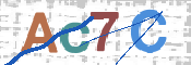 CAPTCHA 驗證圖片