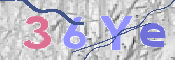 CAPTCHA 驗證圖片
