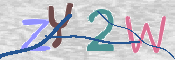 CAPTCHA 驗證圖片