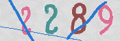 CAPTCHA 驗證圖片