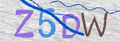 CAPTCHA 驗證圖片