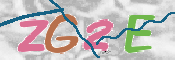 CAPTCHA 驗證圖片