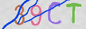 CAPTCHA 驗證圖片