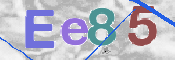 CAPTCHA 驗證圖片