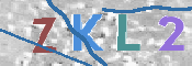 CAPTCHA 驗證圖片