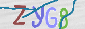 CAPTCHA 驗證圖片