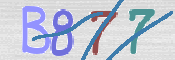 CAPTCHA 驗證圖片