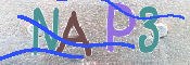 CAPTCHA 驗證圖片
