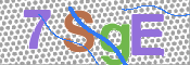 CAPTCHA 驗證圖片