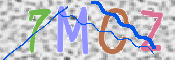 CAPTCHA 驗證圖片