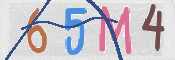 CAPTCHA 驗證圖片