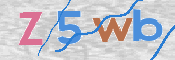 CAPTCHA 驗證圖片