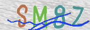 CAPTCHA 驗證圖片