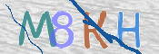 CAPTCHA 驗證圖片