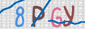 CAPTCHA 驗證圖片
