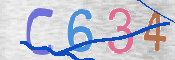 CAPTCHA 驗證圖片