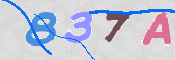CAPTCHA 驗證圖片