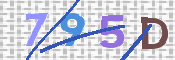 CAPTCHA 驗證圖片