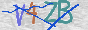 CAPTCHA 驗證圖片