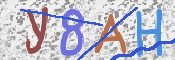 CAPTCHA 驗證圖片
