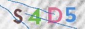 CAPTCHA 驗證圖片