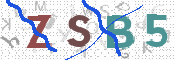CAPTCHA 驗證圖片