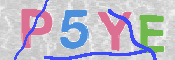 CAPTCHA 驗證圖片