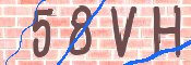 CAPTCHA 驗證圖片